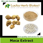 Maca Extract