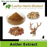 Deer Antler Velvet Extract