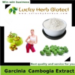 Garcinia Cambogia Extract