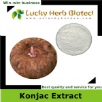 Konjac Extract