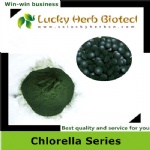 Chlorella Powder