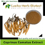 Cordyceps Sinensis Extract